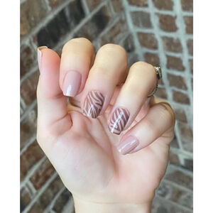 Color Street All Wild Up Nude Brown Zebra Print Press-On Nail Strips One Size